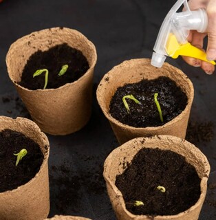 Foto 3 | Kit De Macetas Biodegradables Xtellar 50 Pcs Embellece Tu Jardín De Forma Sostenible