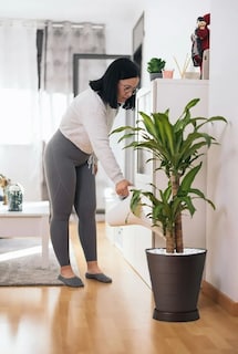 Foto 2 | Kit De 2 Macetas Xtellar Grandes Modernas Para Interiores Y Exteriores Con Diseño Minimalista