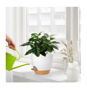 Foto 4 | 7 Pcs Macetas De Plástico Con Riego Automático Para Plantas Blanco/cafe
