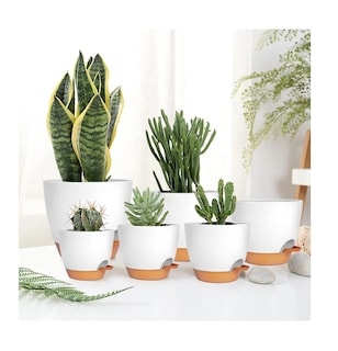 Foto 2 | 7 Pcs Macetas De Plástico Con Riego Automático Para Plantas Blanco/cafe
