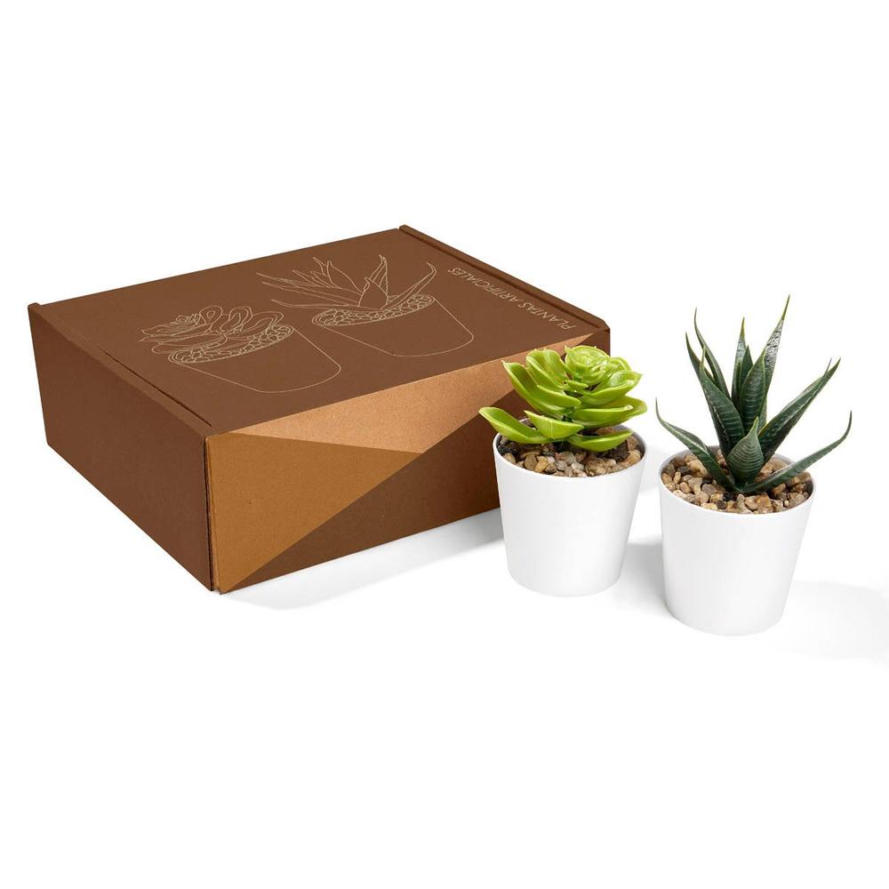 Mini Macetas Decorativas  Promocional  Merchandising - Aliso