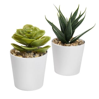 Foto 4 | Mini Macetas Decorativas Promocional Merchandising - Aliso