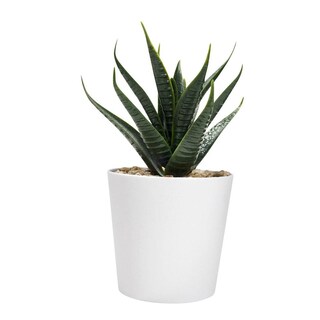 Foto 7 | Mini Macetas Decorativas Promocional Merchandising - Aliso