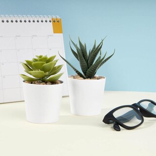 Foto 8 | Mini Macetas Decorativas Promocional Merchandising - Aliso