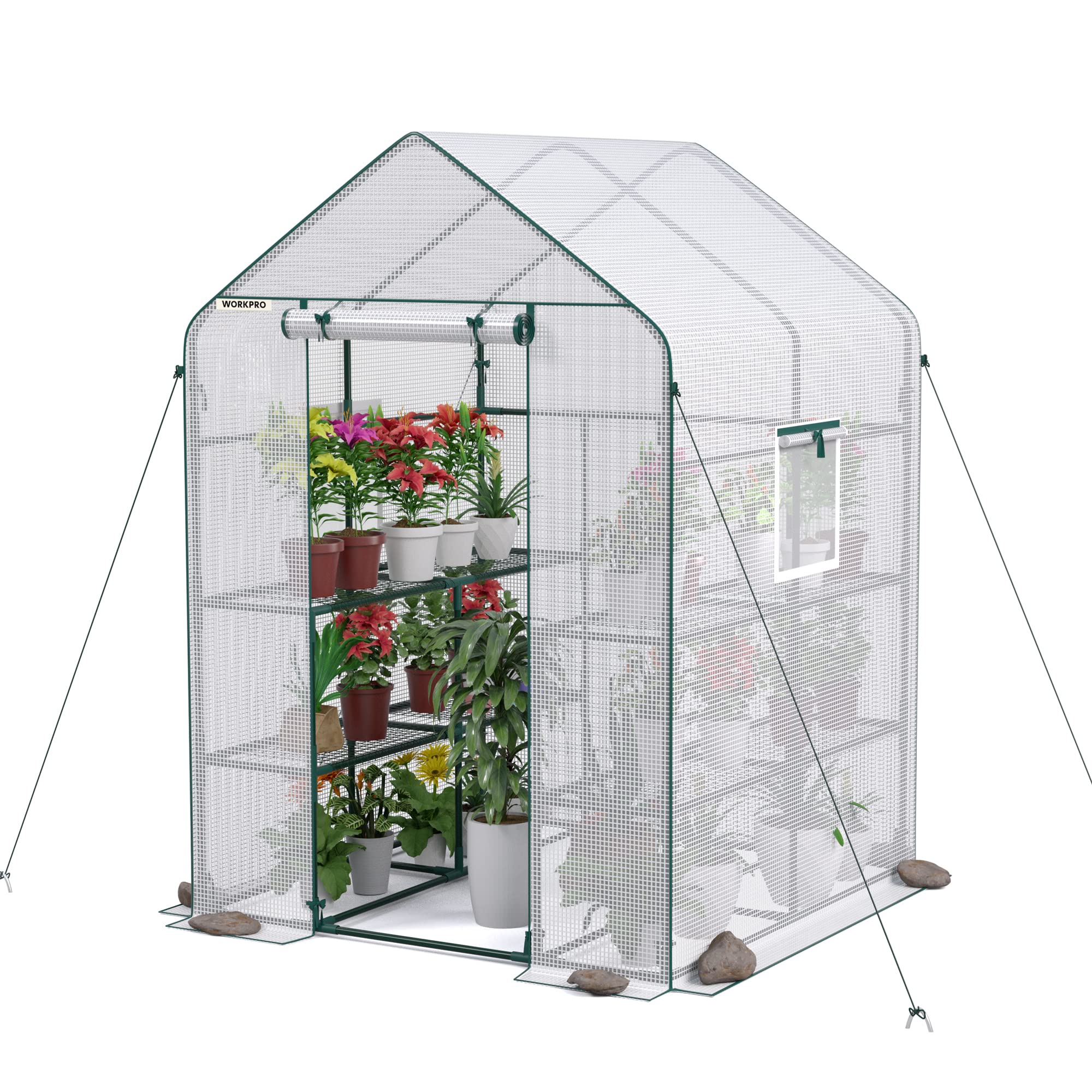 Greenhouse Workpro 142 Cm X 142 Cm X 196 Cm, 3 Niveles Y 8 Estantes - Venta Internacional.