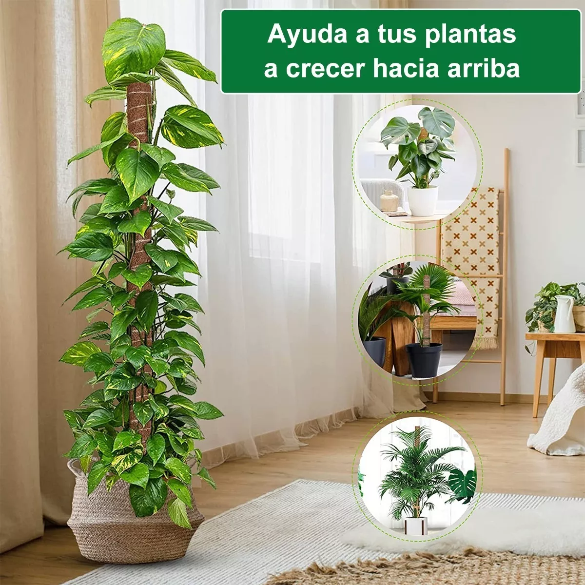 Foto 4 pulgar | Soporte Tutor de Musgo para Plantas 4 Piezas Eo Safe Imports