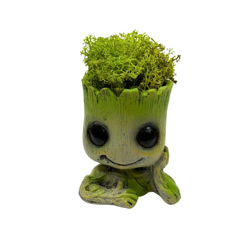 Poliresina Moss Groot Preservada, 12 Cm, 8 Años De Duración - Venta Internacional.