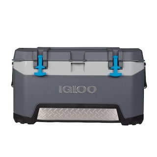 Foto 1 | Hielera Cooler Igloo De Un Cuarto De Galón Con Tecnología Cool Riser - Venta Internacional.