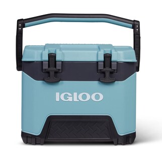 Foto 1 | Nevera Igloo Bmx Celadon 25 L - Venta Internacional.