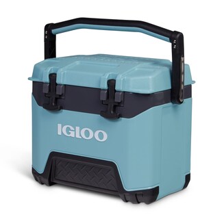 Foto 2 | Nevera Igloo Bmx Celadon 25 L - Venta Internacional.