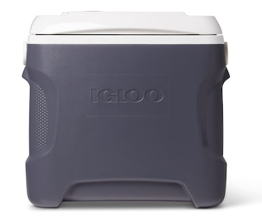 Foto 1 | Refrigerador Eléctrico Portátil Igloo 12v 24l Caliente/frío 36f - Venta Internacional.