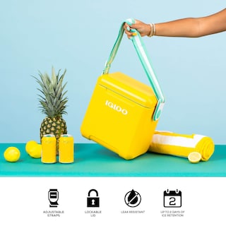 Foto 5 | Etiqueta Tipo Iglú Con Correas, Estilo Pícnic, 11 L, Color Amarillo - Venta Internacional.
