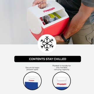 Foto 5 | Cooler Igloo Playmate Pal Azul/blanco 7l - Venta Internacional.