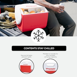Foto 4 | Cooler Igloo Playmate Elite Rojo/blanco De 16 Litros Para Picnics Y Acampadas - Venta Internacional.