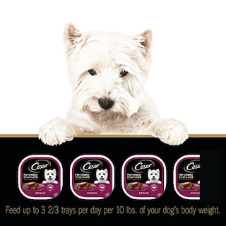 Foto 7 | Comida Húmeda Para Perros Cesar Porterhouse, Sabor A Bistec, 100 G (paquete De 24) - Venta Internacional.