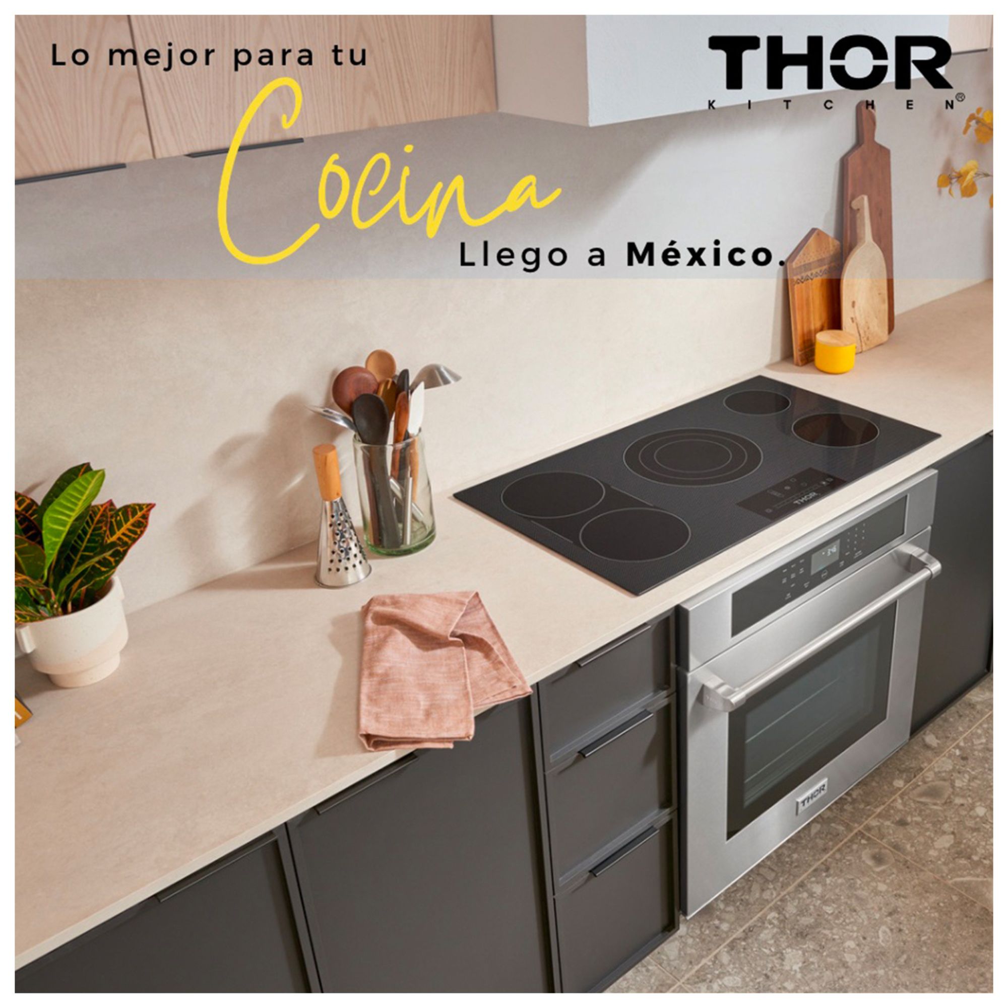 Foto 6 pulgar | Parrilla Electrica Profesional Thor Kitchen de 36”