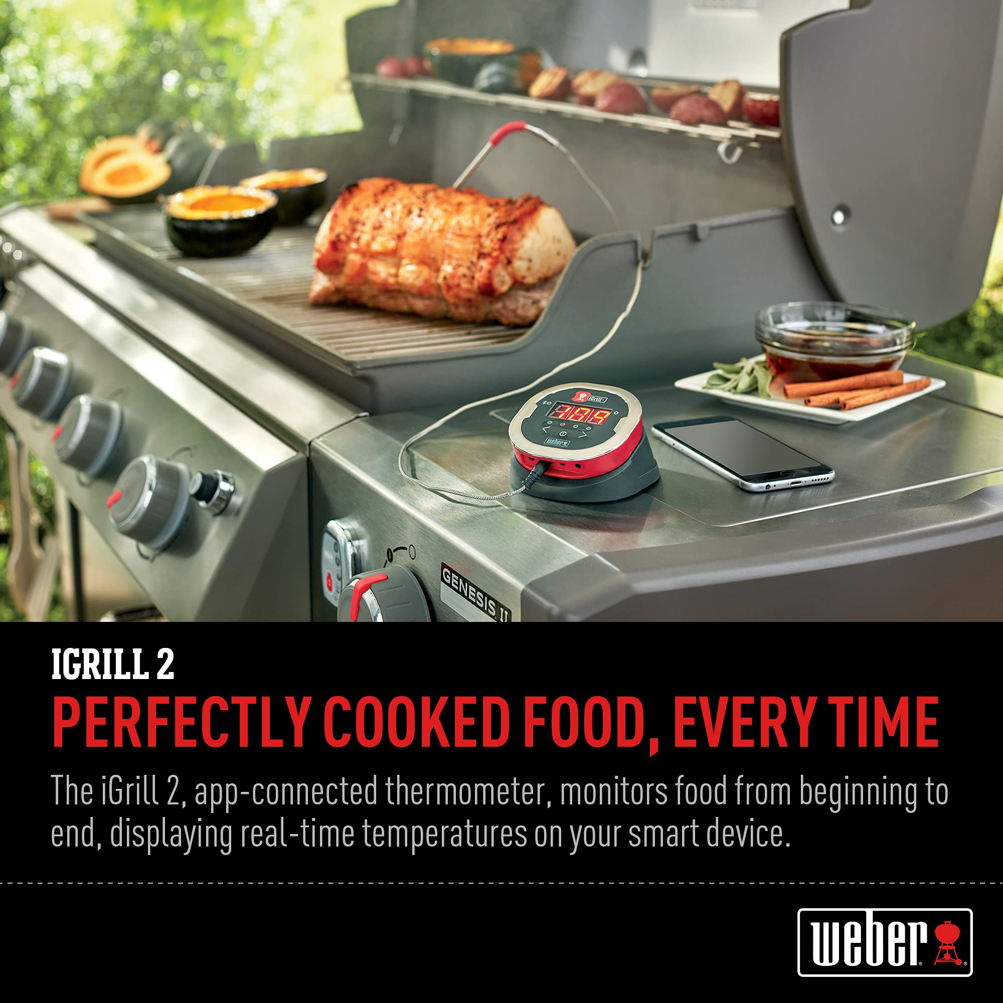 Foto 4 pulgar | Termómetro para Carne Weber Idevices Igrill 2 Bluetooth Smart - Venta Internacional