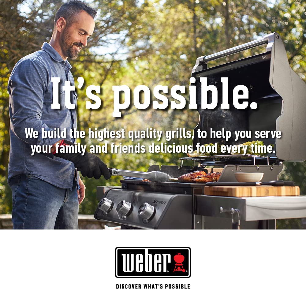 Foto 4 pulgar | Pulidor De Acero Inoxidable Weber 355 Ml - Venta Internacional.