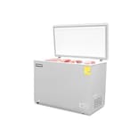 Congelador Horizontal Rhino, 10 Pies (282l), Congeco-10