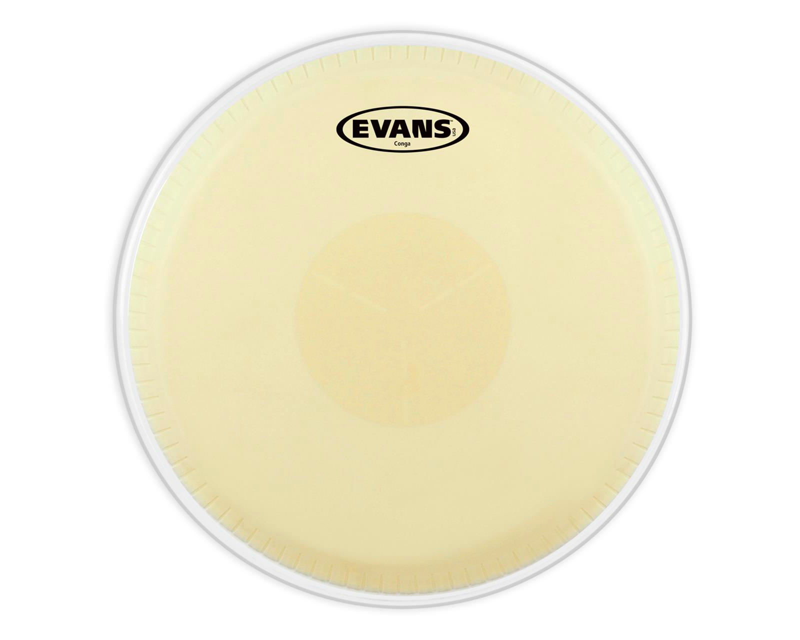 Parche De Batería Evans Para Conga De 113/4 Pulgadas Ec1175e Color Beige