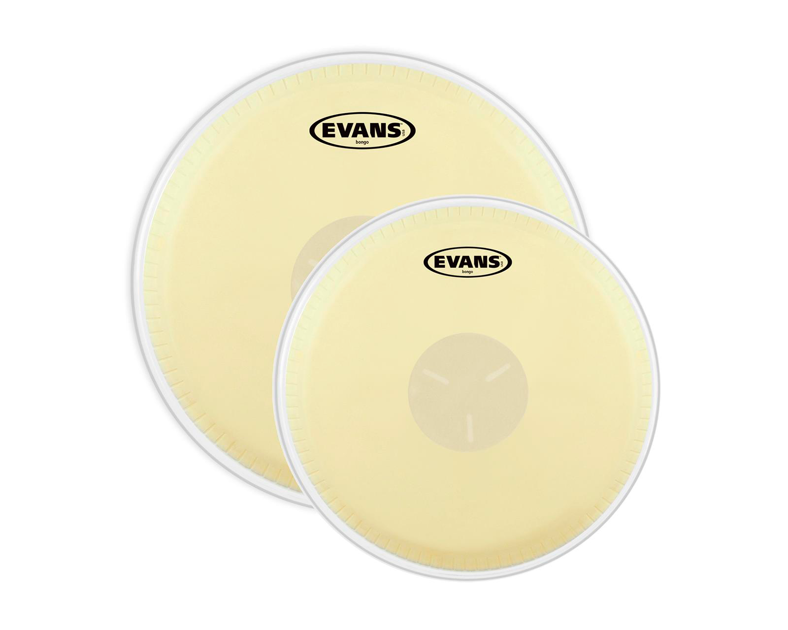 Parche de Batería Evans para Bongo de 7 Pulgadas 1/4 y 8 Pulgadas 5/8 Eb-0709 color Beige