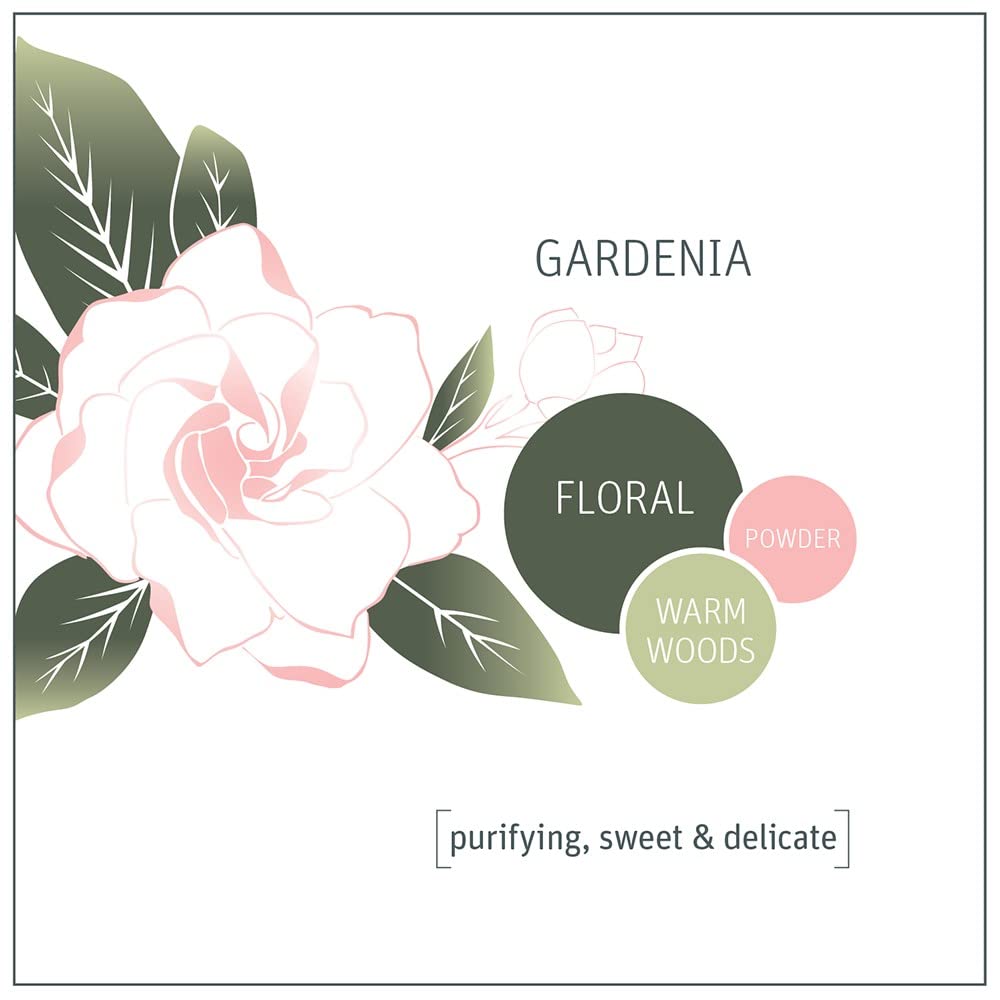 Foto 4 | Detergente Para Ropa Pods Grab Green 3 En 1 Gardenia Scent 24 - Venta Internacional.