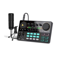 Mezcladora Tarjeda De Sonido Con Micrófono Eo Safe Imports Esi-8273-1 Negro