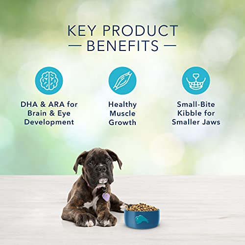 Foto 6 pulgar | Alimento Para Perros Blue Buffalo Freedom Pollo Sin Cereales 1,8 Kg - Venta Internacional.