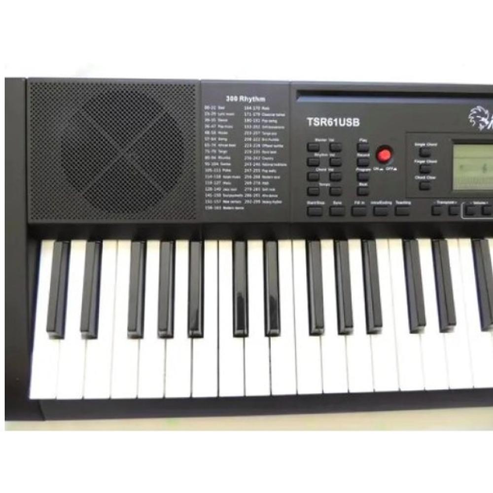 Teclado Alde Audio Tsr 61usb Electronico 61 Teclas 128 Voces $2,614