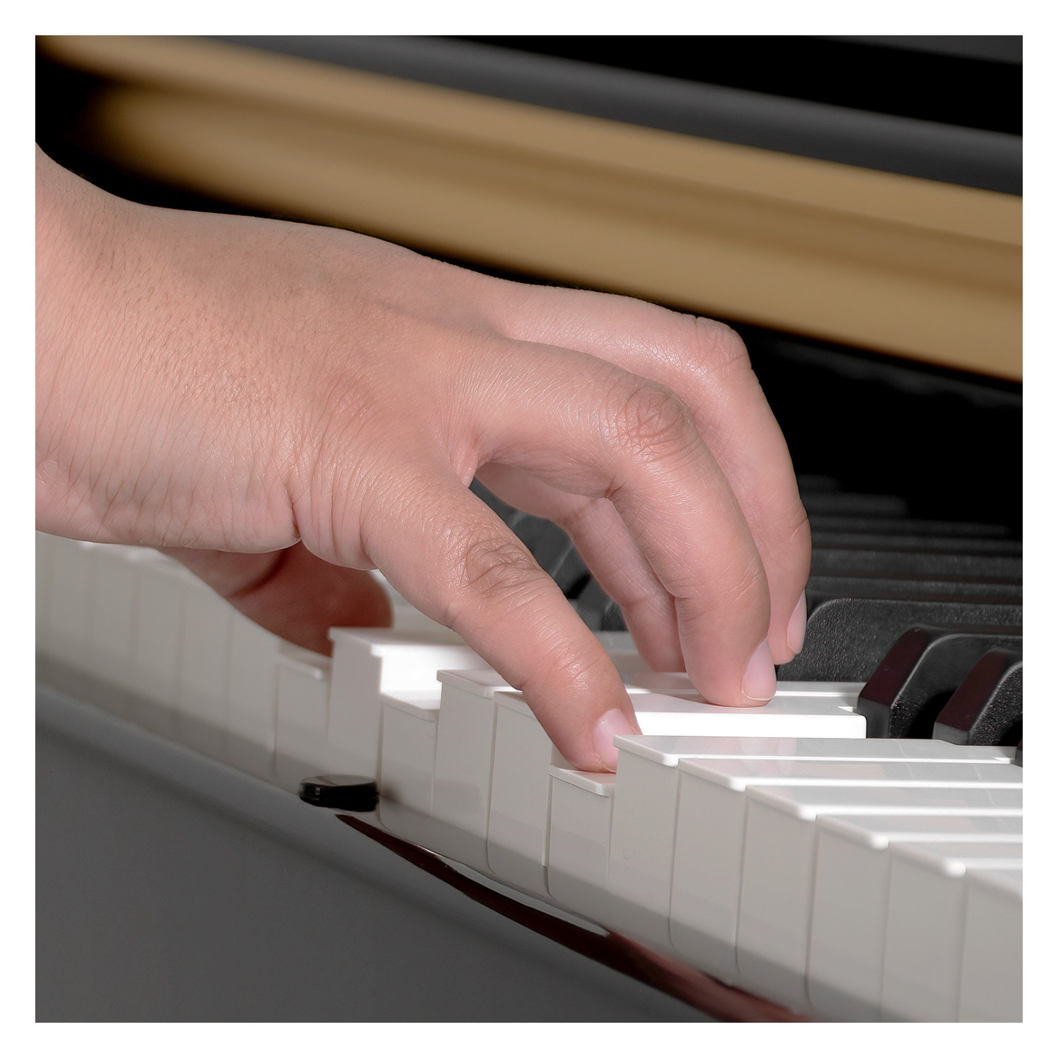 Foto 7 pulgar | Piano Teclado Electrico 88 Teclas Digital 15v 3a 900 Ritmos Audiotek