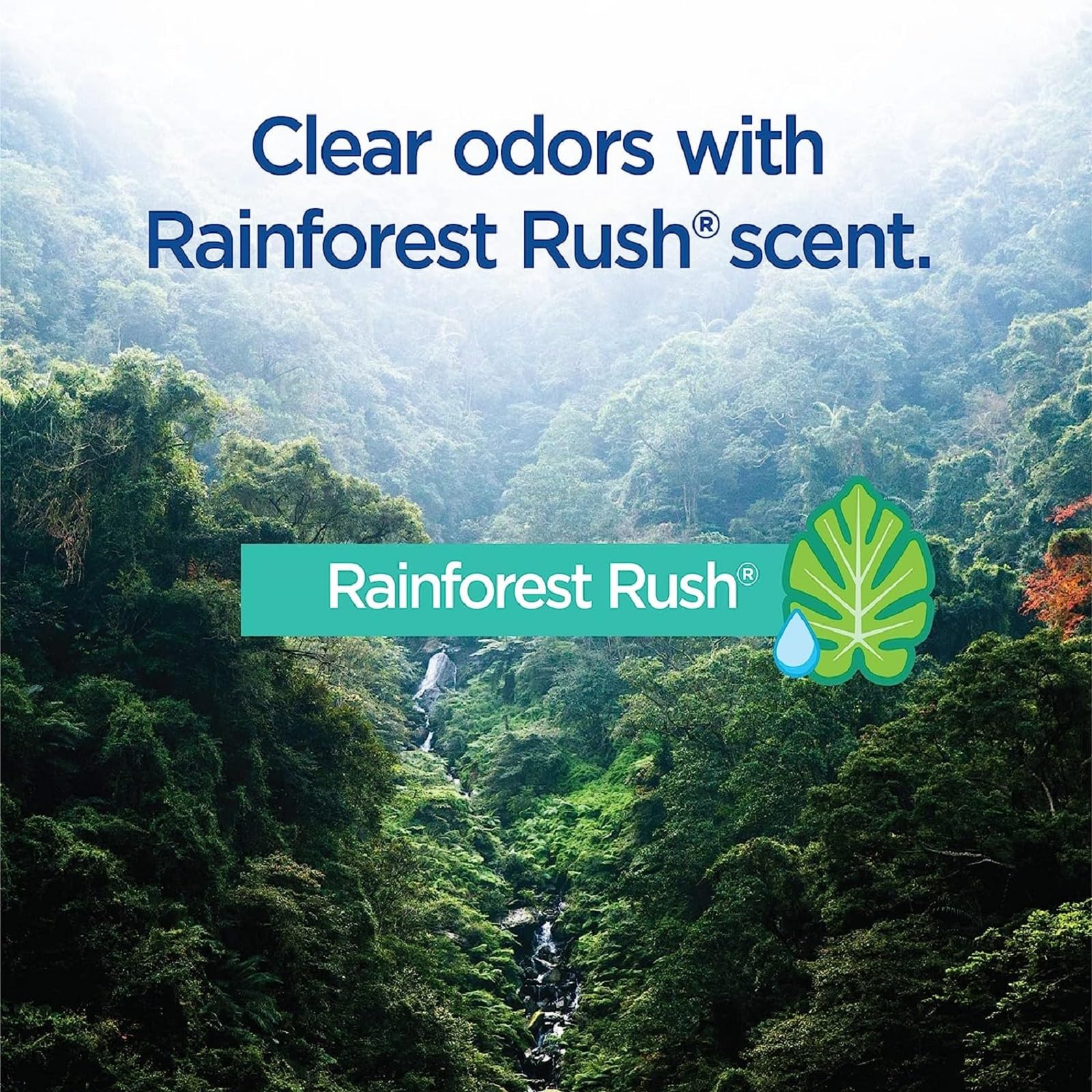 Foto 7 pulgar | Recambios Para Varillas De Inodoro Clorox Rainforest Rush  30 Unidades - Venta Internacional.