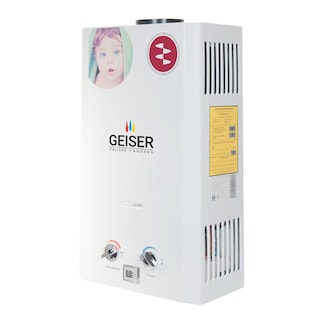 Foto 2 | Calentador De Agua Instantaneo Geiser Gas 10 L/min