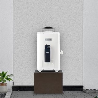 Foto 5 | Boiler Calorex De Paso Fortis 09 Lp