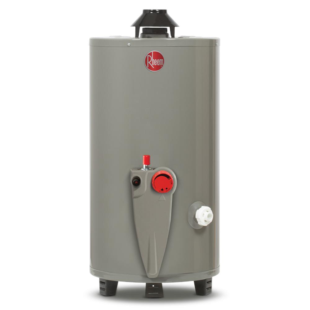 Calentador de Agua de Depósito Rheem 29V13SS/435138 color Gris a Gas Natural 49 L 1.5 Servicios