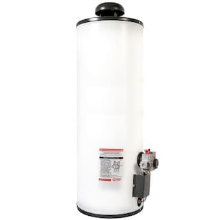 Foto 2 | Calentador De Depósito Primo Plus, Iusa, Piezoeléctrico, 80 L., Gas Natural