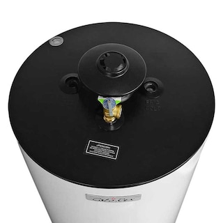 Foto 4 | Calentador de Agua Calorex 30 Galones G-30 Lp Maximus