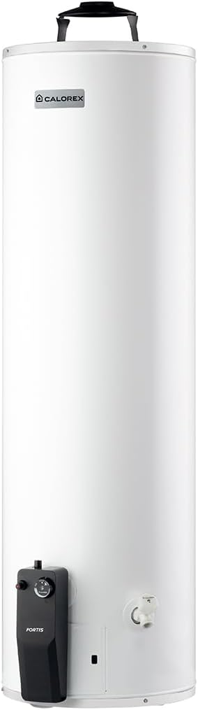 Foto 4 pulgar | Boiler Calentador Fortis G30 De Gas Lp De 106 Litros / 30 Galones