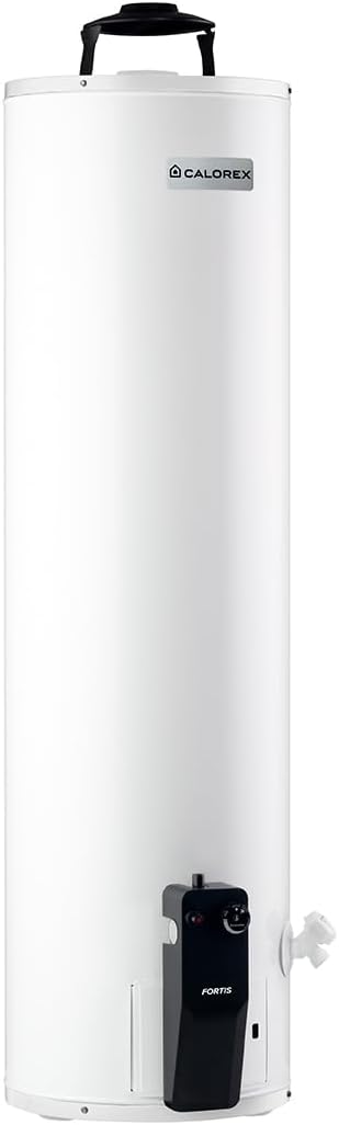 Foto 2 | Boiler Calentador Fortis G20 Gas Natural De 73 Lts/20 Galones
