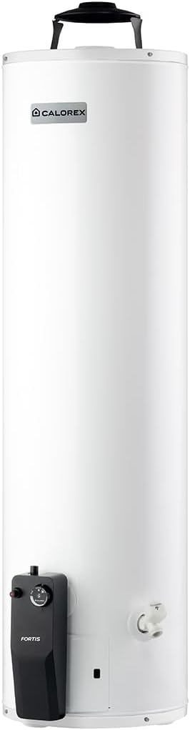 Foto 4 pulgar | Boiler Calentador Fortis G20 Gas Natural De 73 Lts/20 Galones