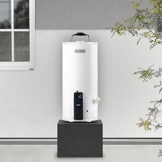 Foto 2 | Boiler Calorex Fortis Depósito G10 Gas Lp