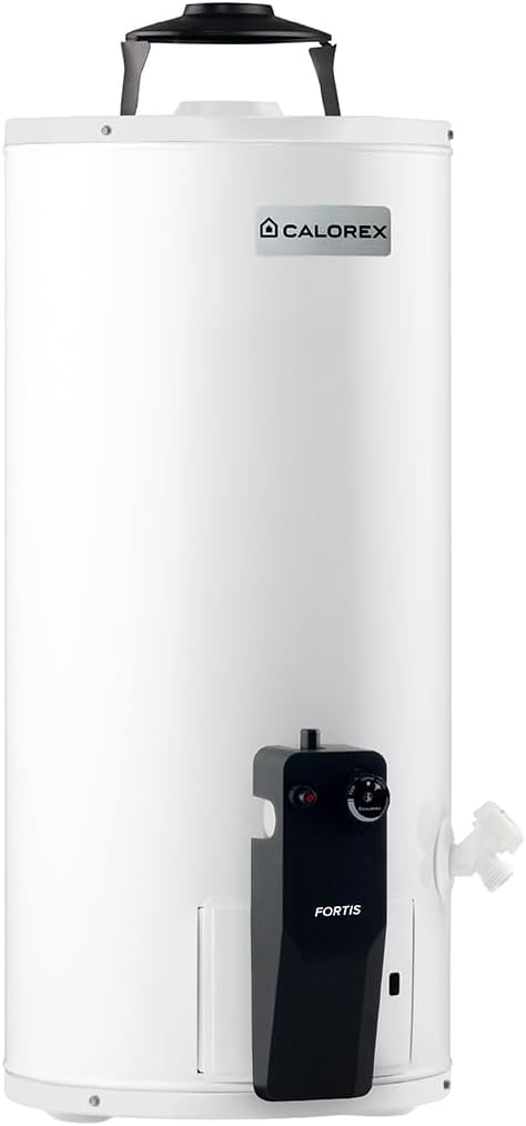 Foto 5 pulgar | Boiler Calorex Fortis Depósito G10 Gas Lp