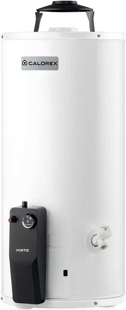 Foto 6 pulgar | Boiler Calorex Fortis Depósito G10 Gas Lp