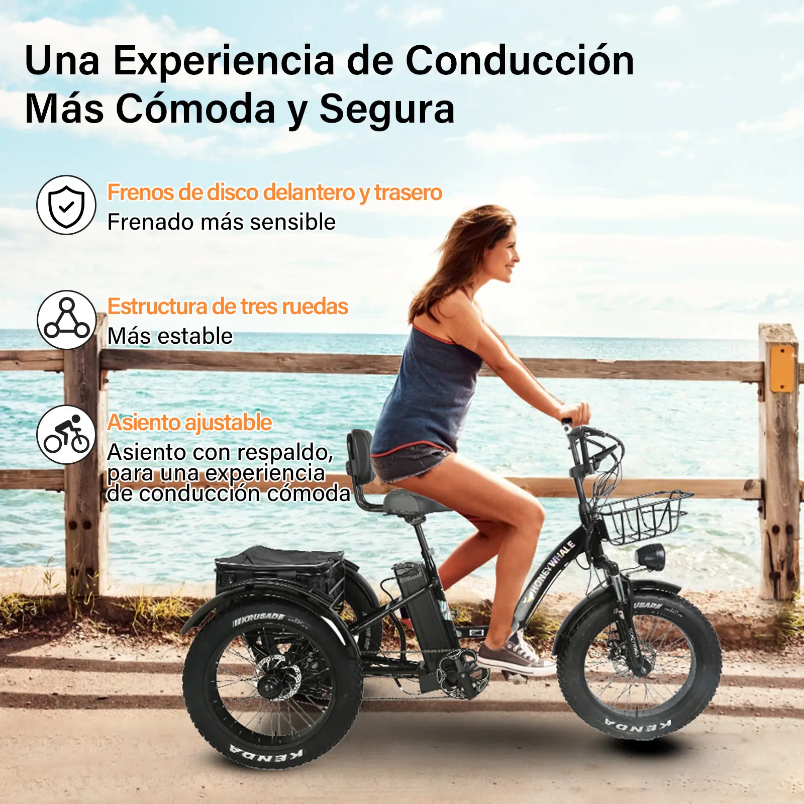 Foto 8 pulgar | Bicicleta Eléctrica Honey Whale S13 Negra