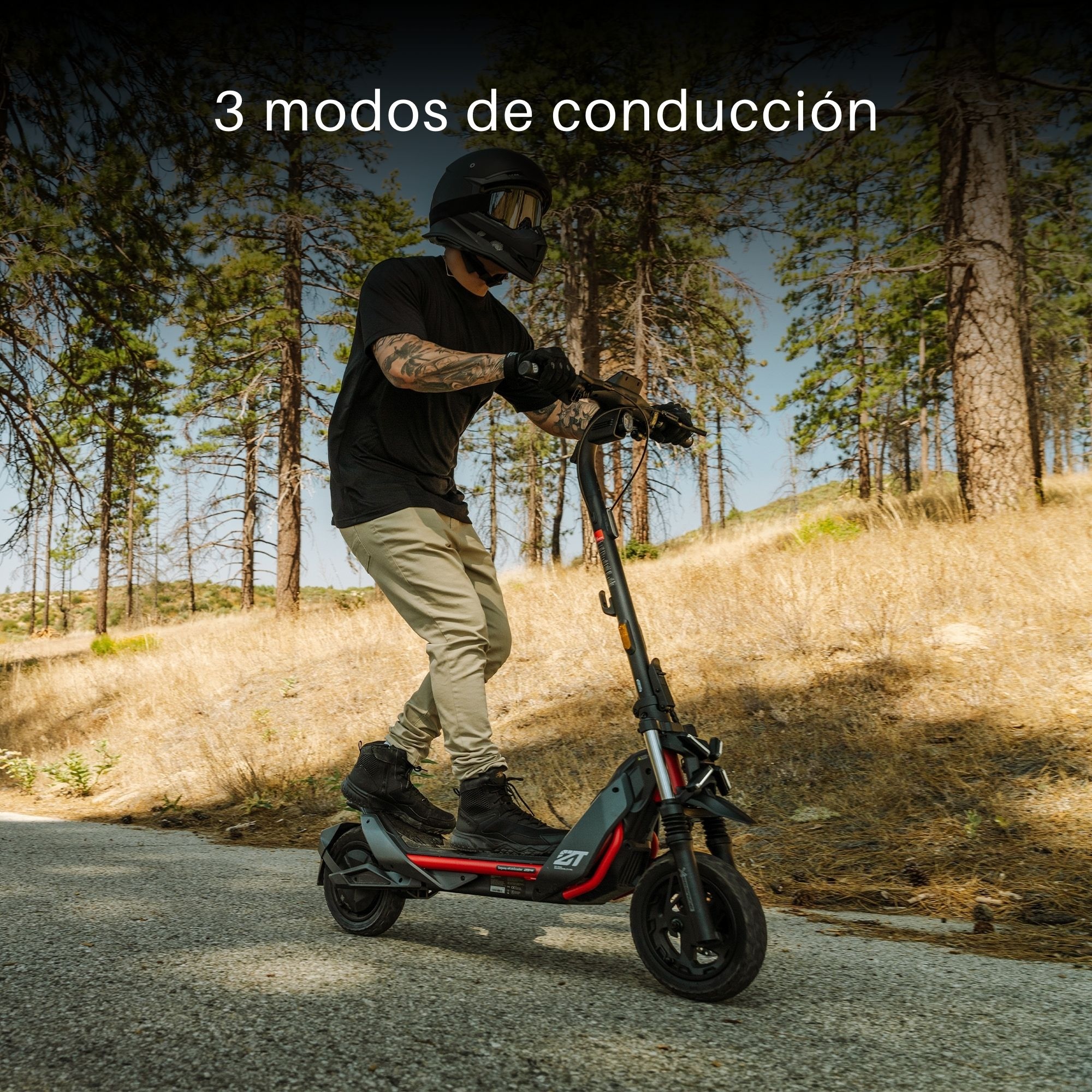 Foto 4 pulgar | Scooter Eléctrico Segway Ninebot  Zt3 Pro Color Negro