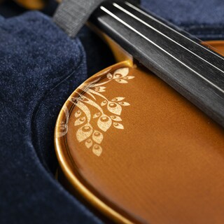 Foto 4 | Violín Acústico Semiprofecional Aureal 4/4 Abeto y Maple
