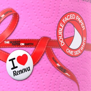 Foto 2 | Toalla De Papel Renova Pink Jumbo Rollo De 2 Capas 120 Hojas - Venta Internacional.