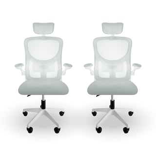 Foto 1 | Set De 2 Sillas Oficina Escritorio Linium Ergo Premium Ejecutiva Color Gris