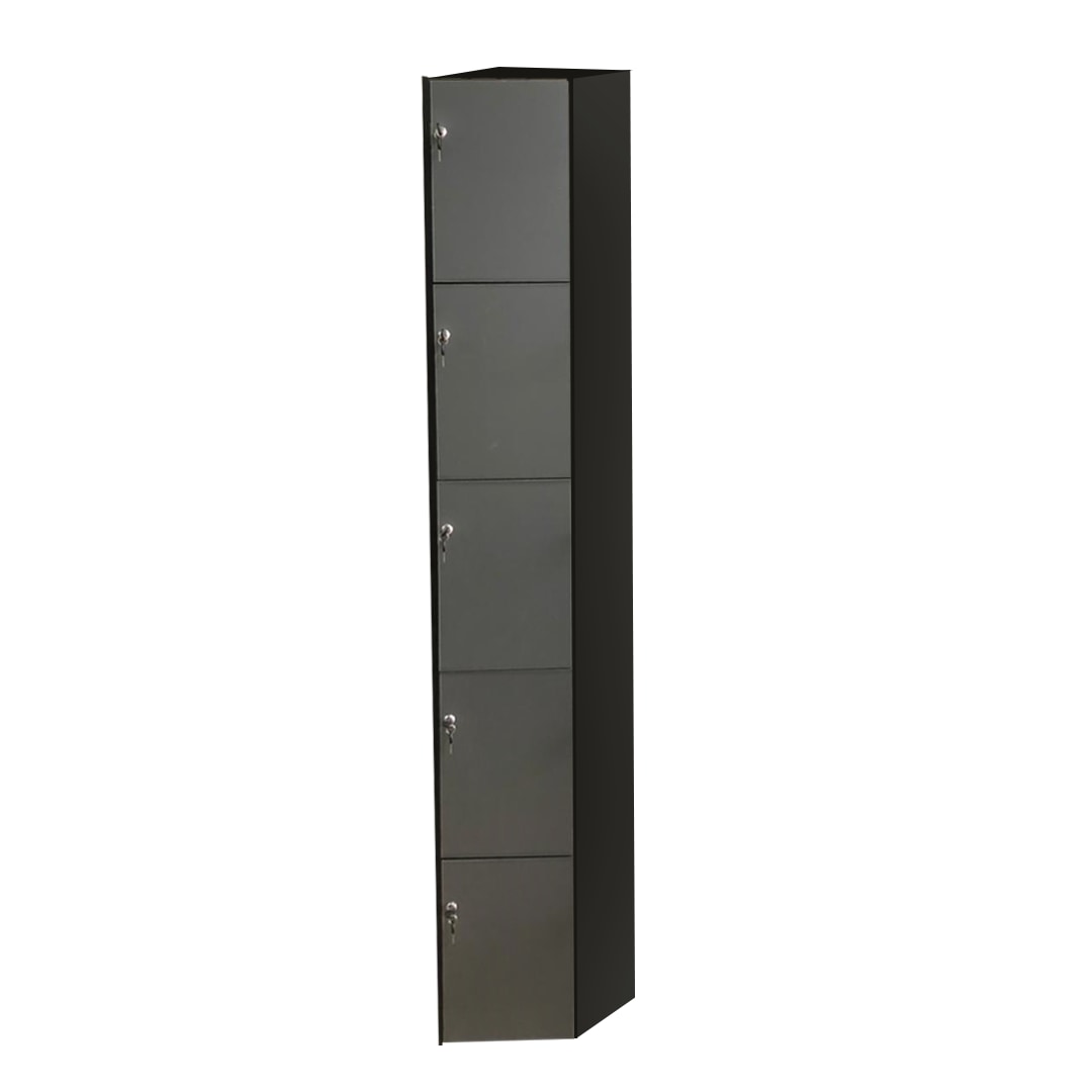 Casillero Locker Minimalista de 5 Puertas $3,869