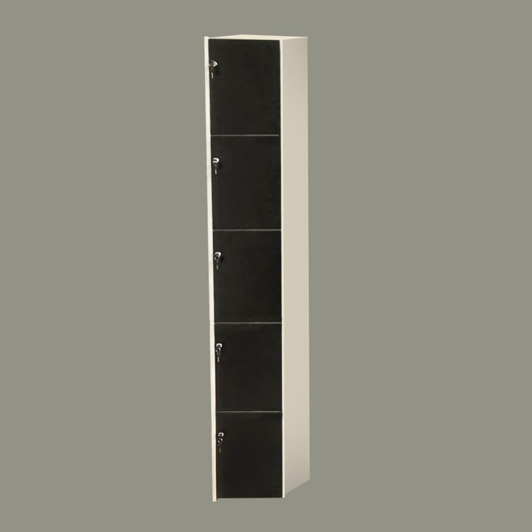 Casillero Locker 5 Puertas Minimalista Mdf $3,399