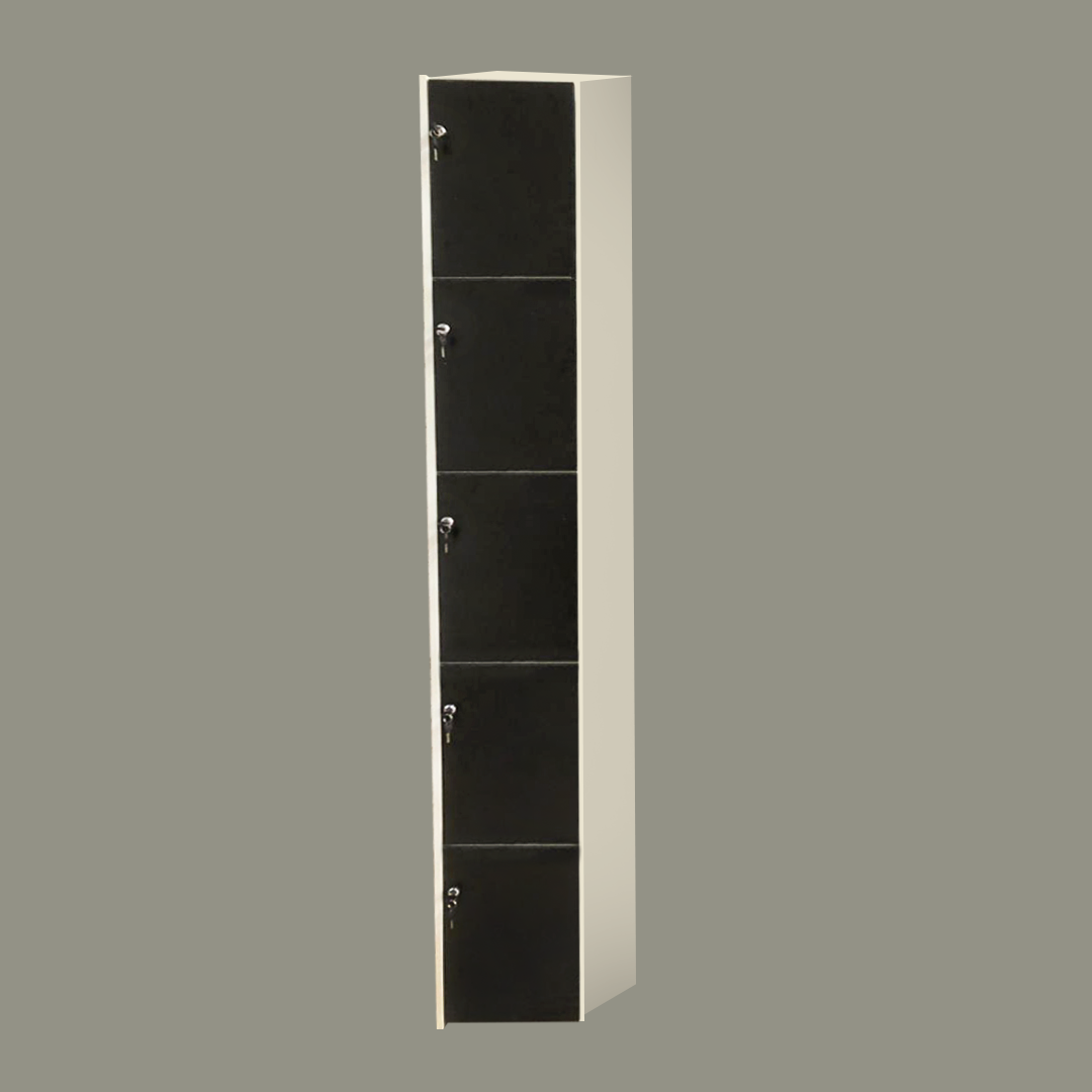 Casillero Locker 5 Puertas Minimalista Mdf